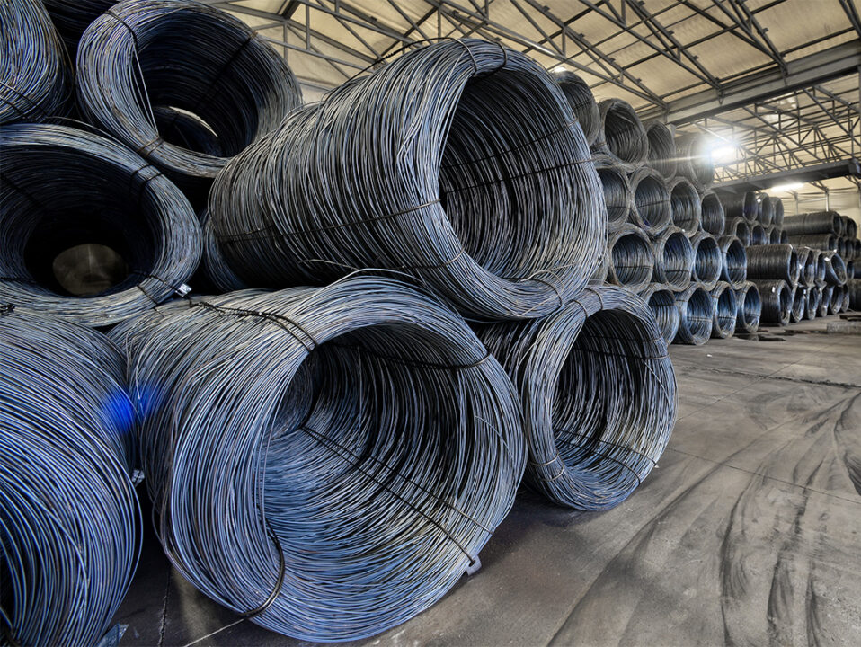 bottaro-world-oceans-day