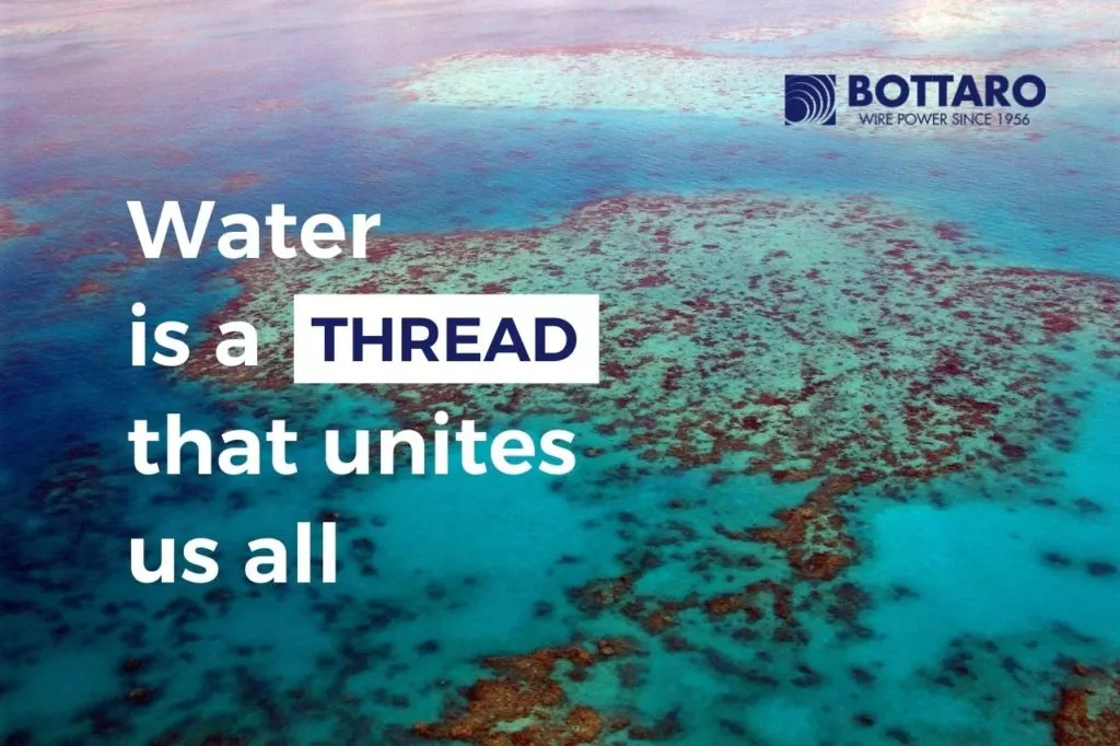 Dia Mundial dos Oceanos