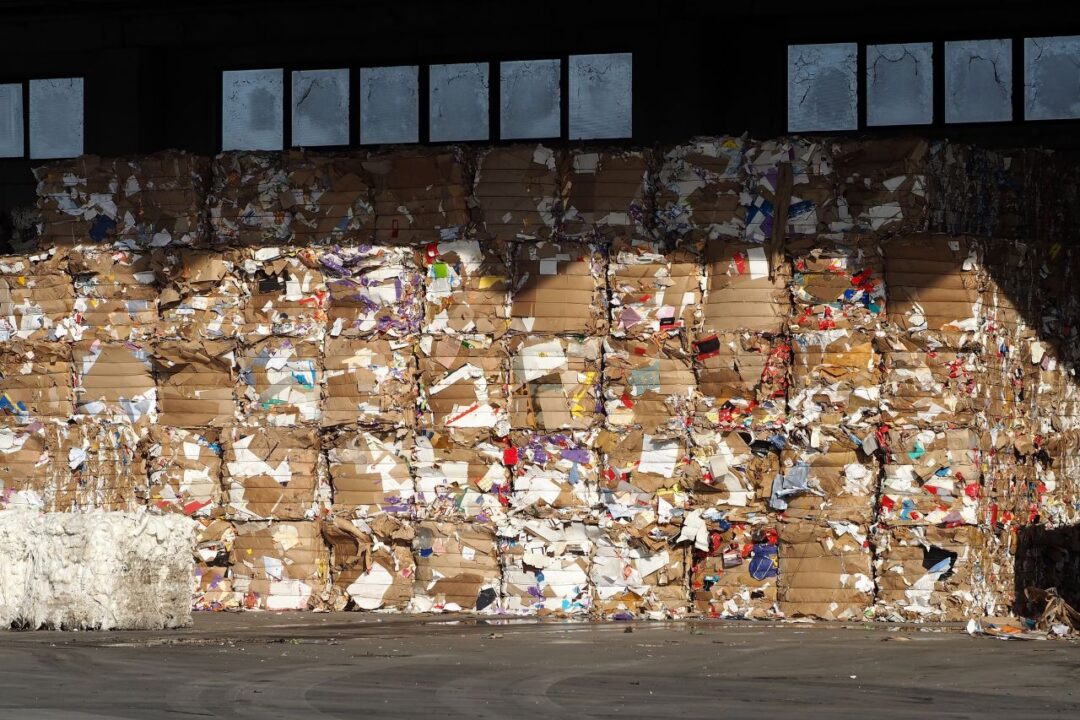 La Contribution De Bottaro à La Chaîne De Recyclage Du Papier Et Du Carton