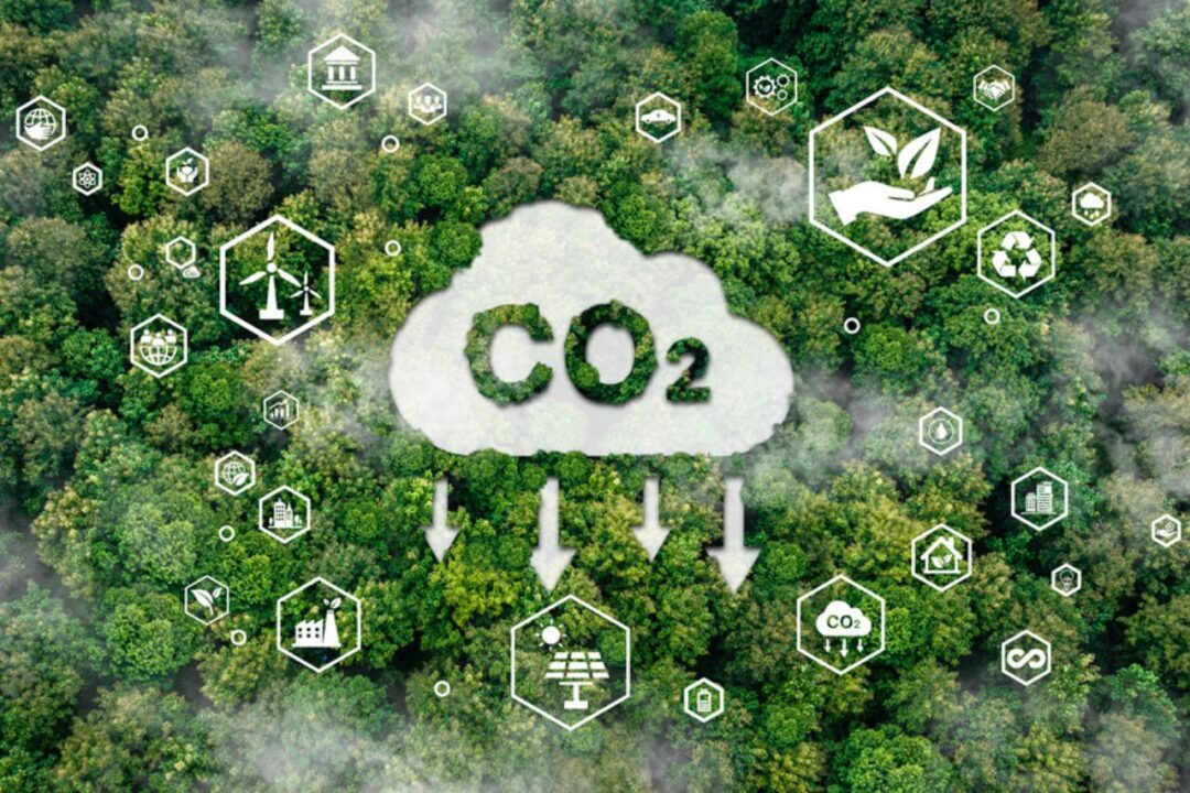 bottaro-world-oceans-day