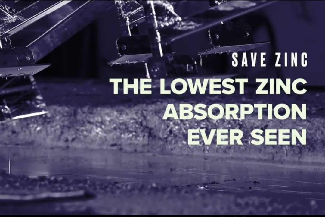 The new video dedicated to BWG™