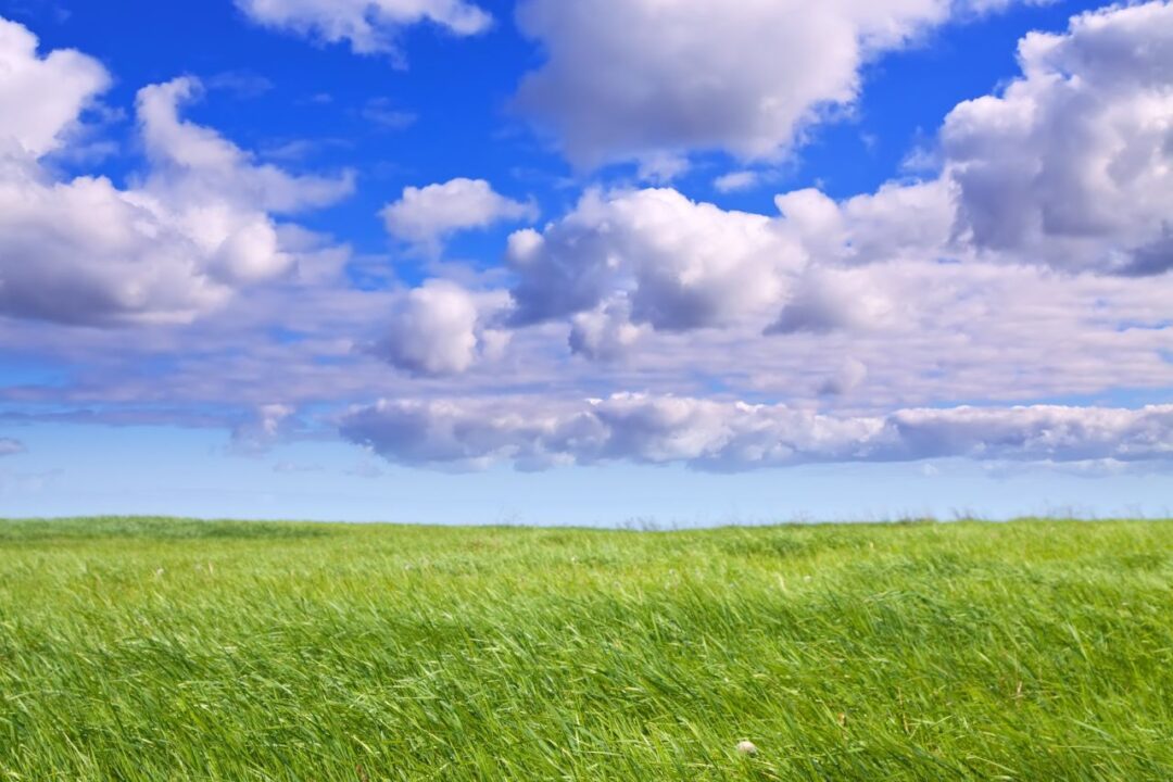 September 21 is Zero Emissions Day.