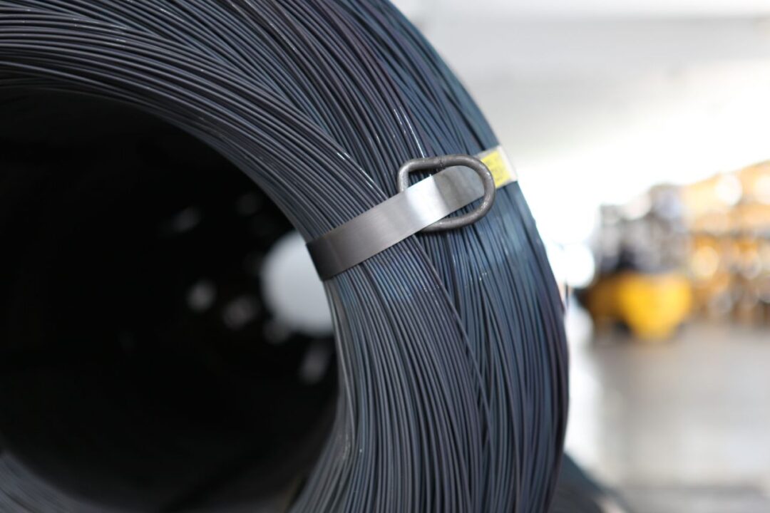 bottaro-world-oceans-day