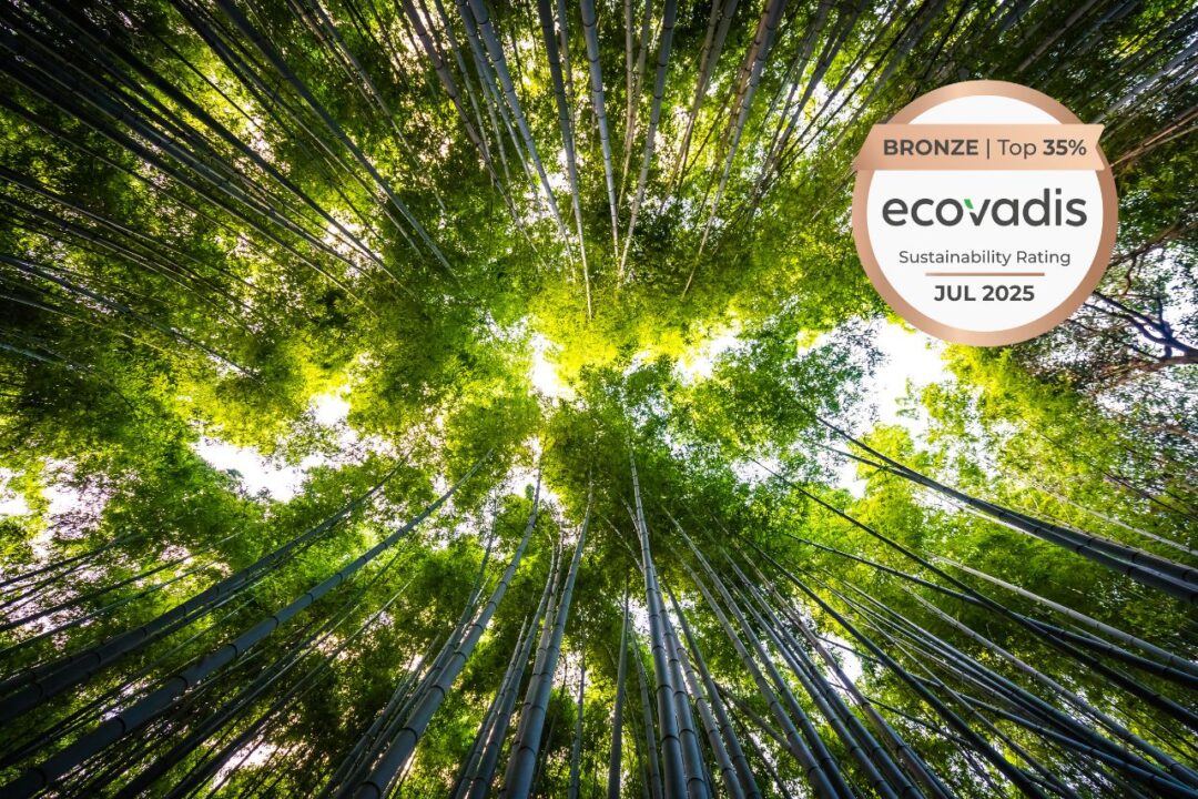 bottaro-world-oceans-day